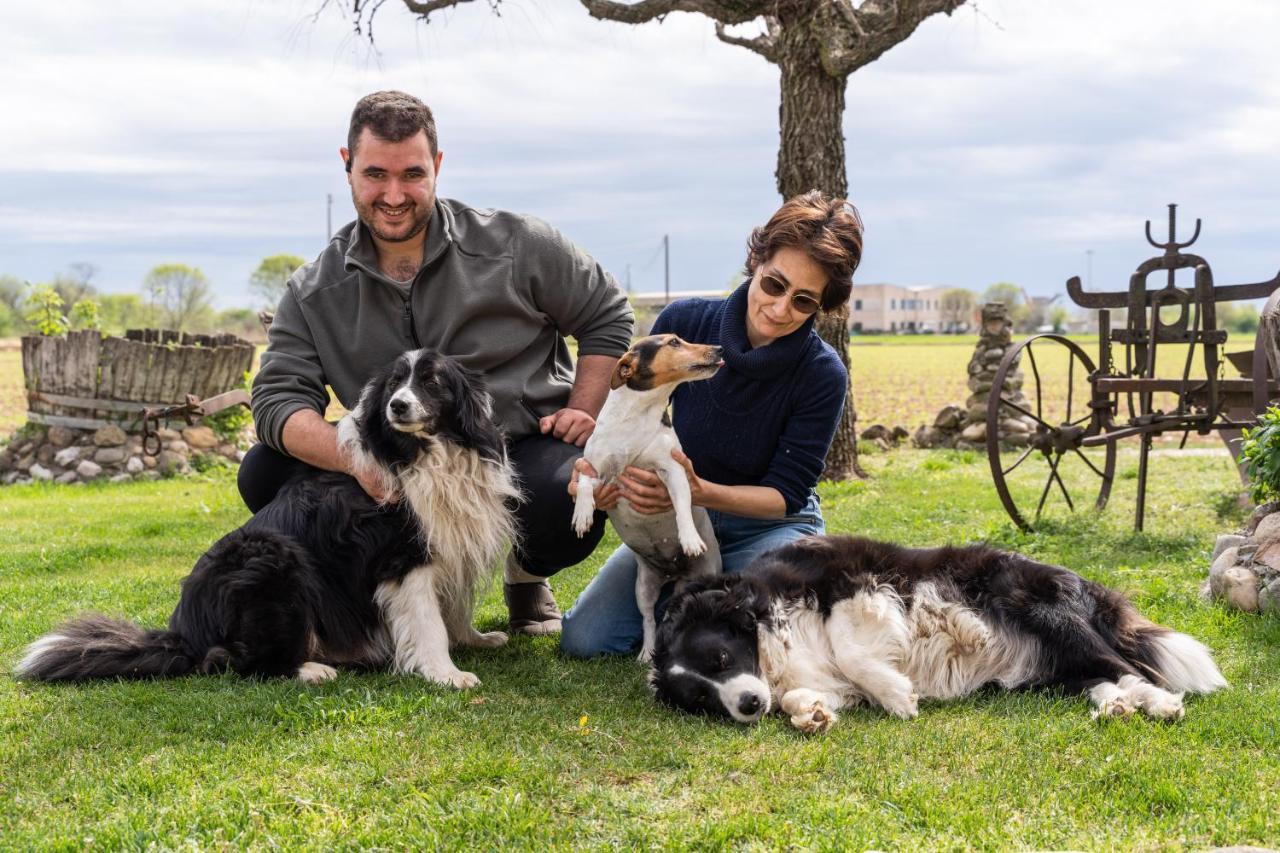 Agriturismo Pozzo Fiorito Кастильоне-делле-Стивьере Экстерьер фото