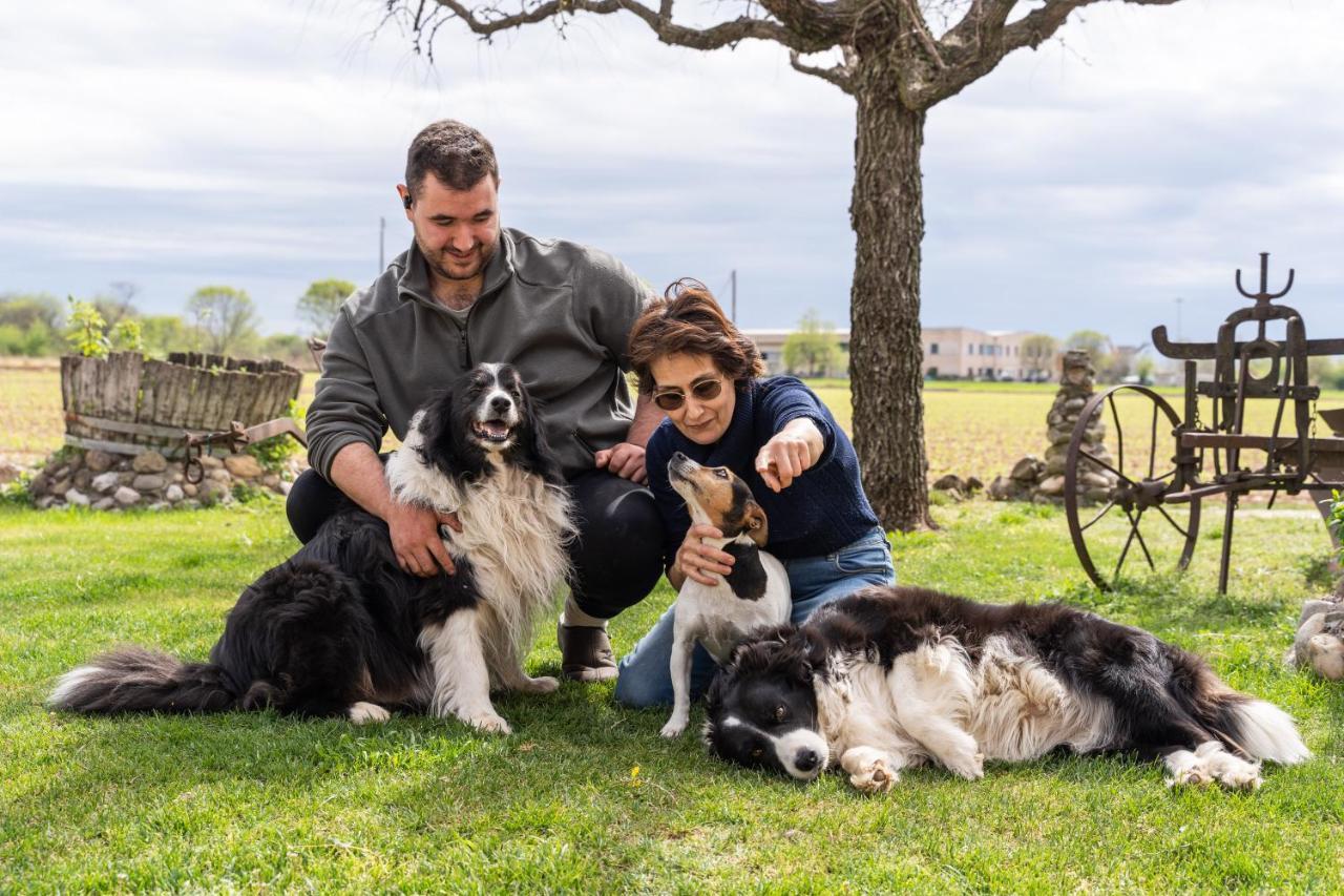 Agriturismo Pozzo Fiorito Кастильоне-делле-Стивьере Экстерьер фото